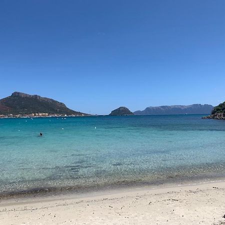 Appartamenti Le Primule Golfo Aranci Luaran gambar