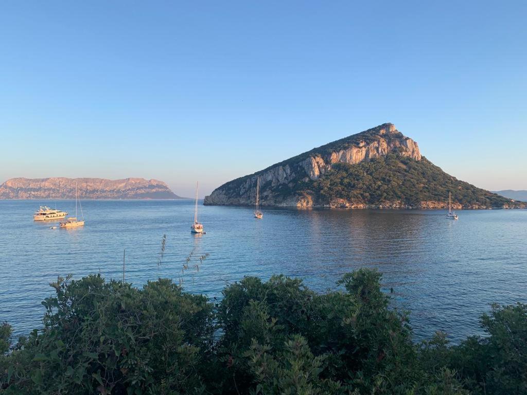 Appartamenti Le Primule Golfo Aranci Luaran gambar