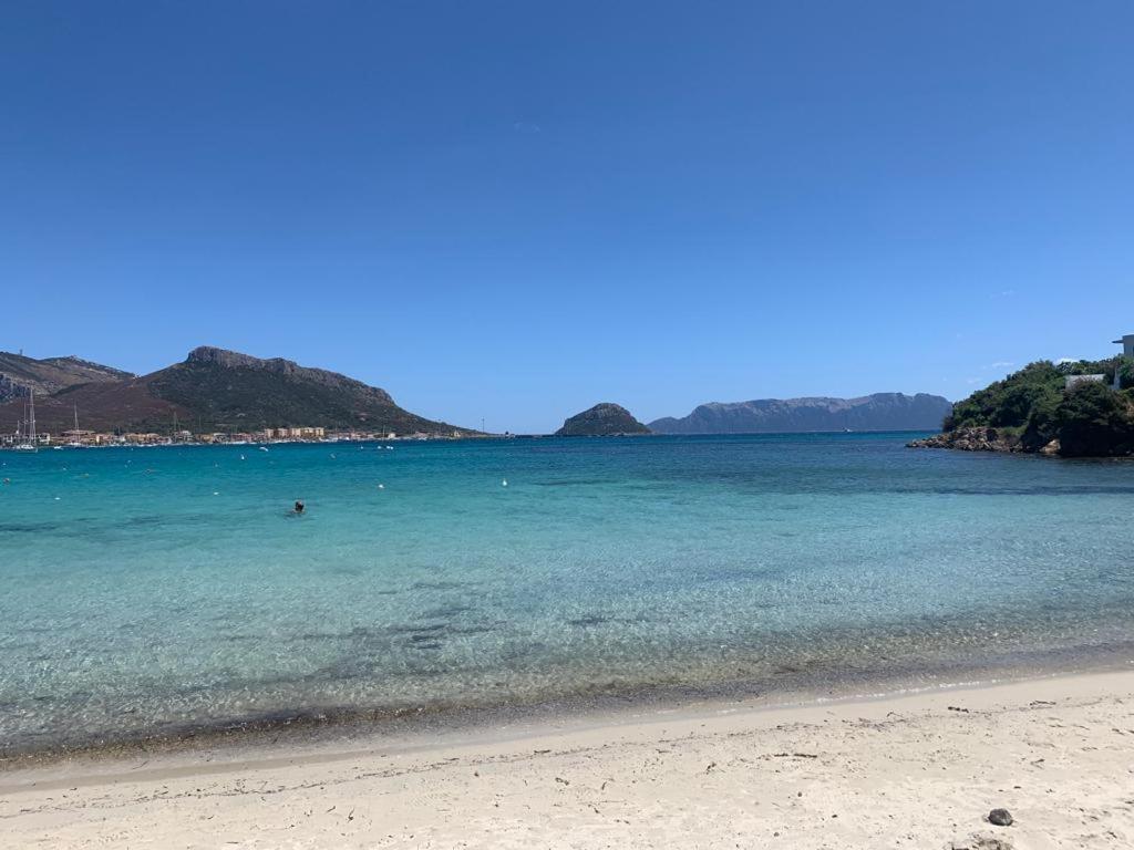 Appartamenti Le Primule Golfo Aranci Luaran gambar